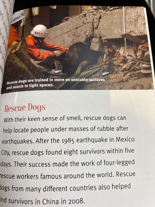 洋書　A true book シリーズ　33冊