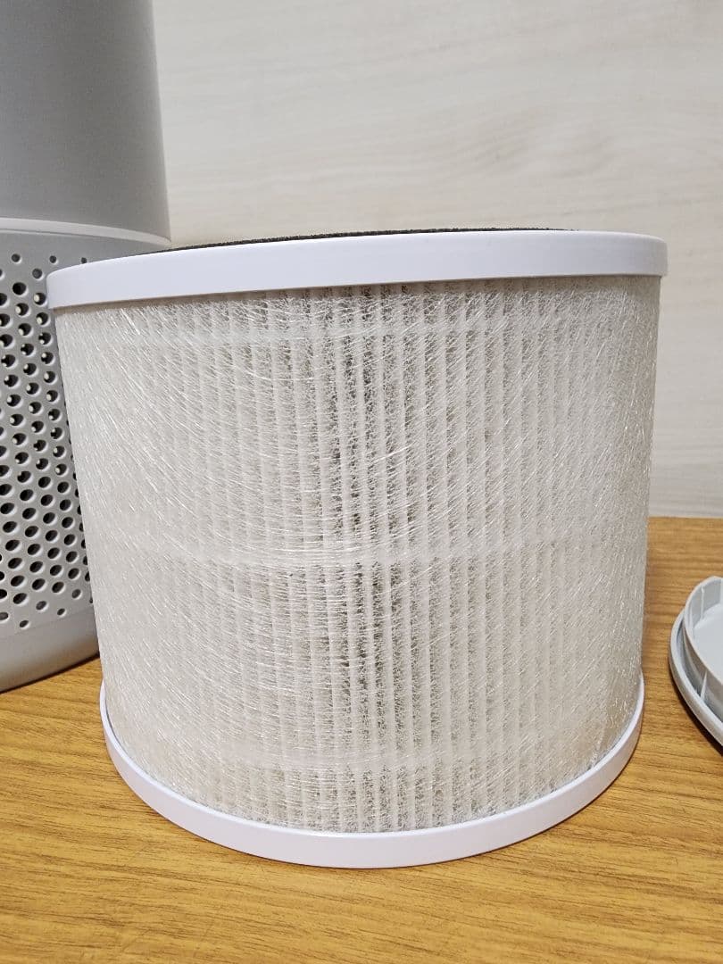 美品　Levoit pet 空気清浄機 20畳脱臭強化・ペットcore p350