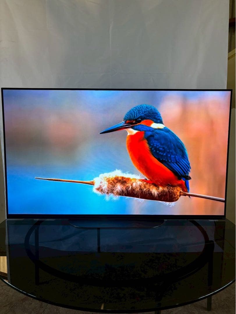 【美品】SONY 4K有機ELテレビ KJ-48A9S 2022年製 48V