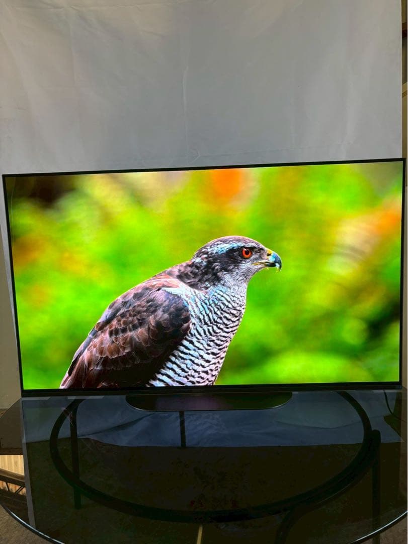 【美品】SONY 4K有機ELテレビ KJ-48A9S 2022年製 48V