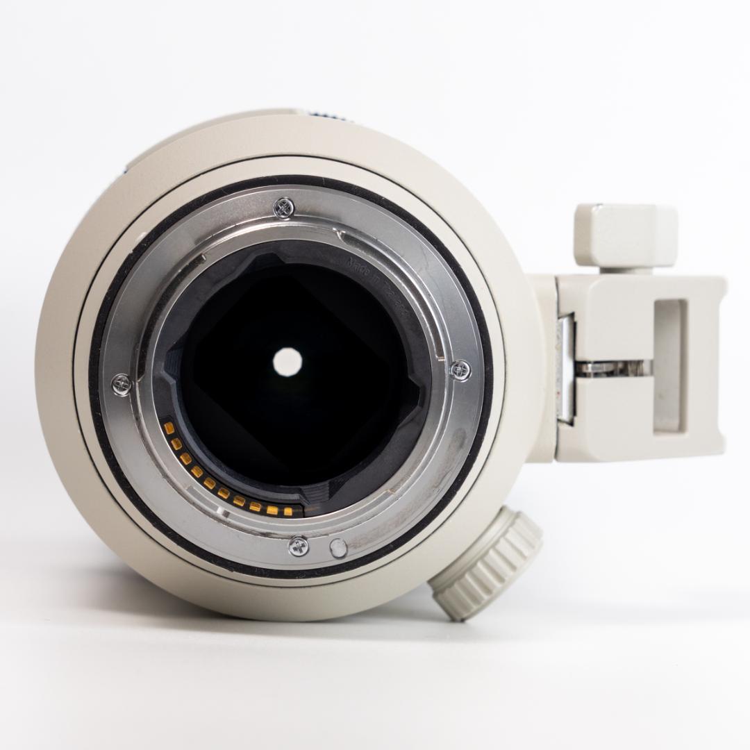 SONY ソニー FE 70-200mm F2.8 GM OSS