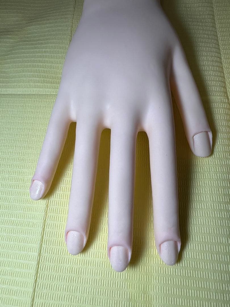 認定　モデルハンド