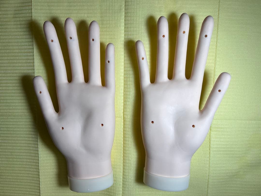 認定　モデルハンド