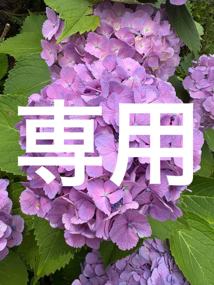 専用　モリリン【ブレスエアーエヴォリューションII】 リバーシブル敷布団カバーS