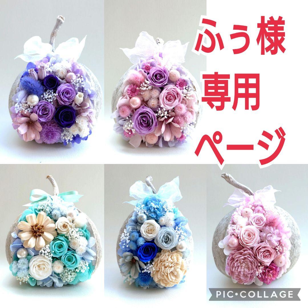 ふぅページ　ブッダナッツ　オーダー分