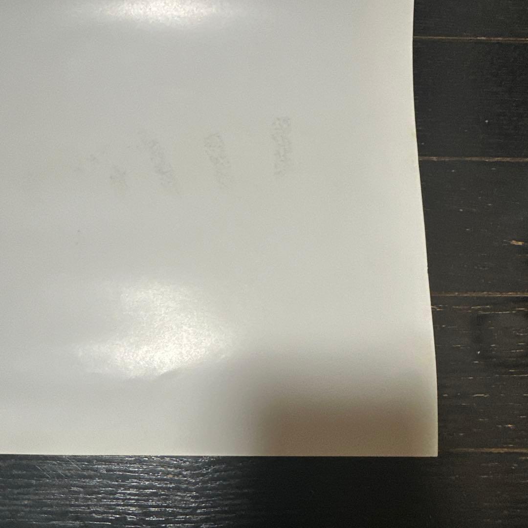 さよなら　銀河鉄道999 アンドロメダ終着駅　B2ポスター　メーテル