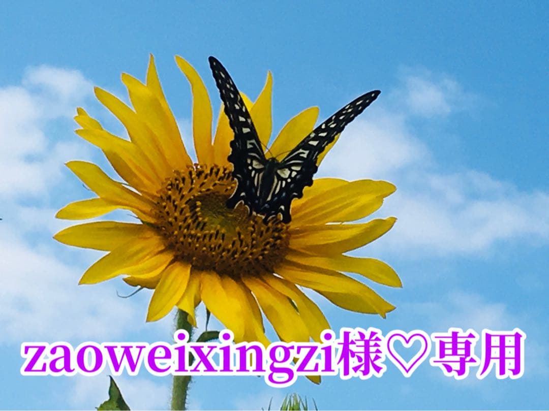 zaoweixingzi様❤️おまとめ専用ページです。3/1まで♡