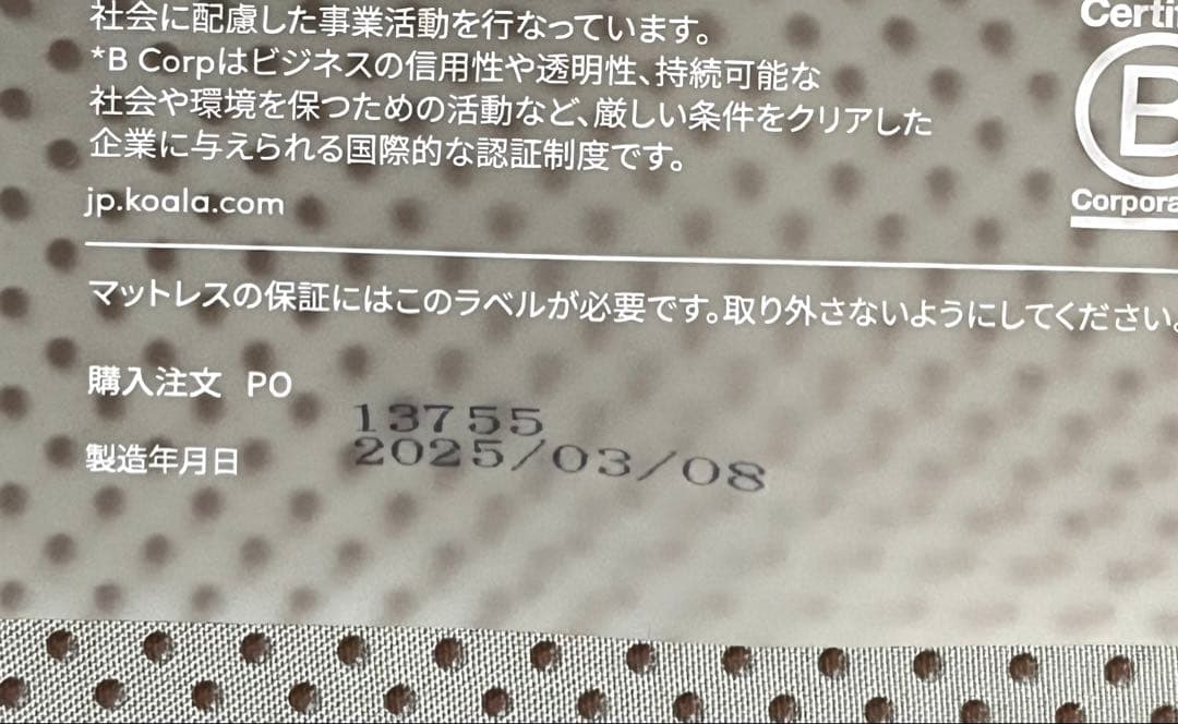 サーロイン様　koala