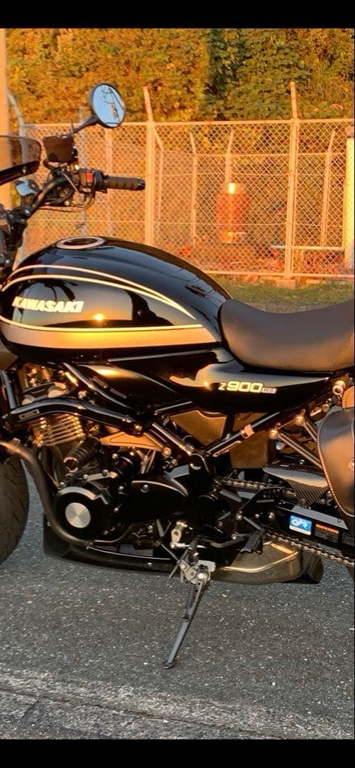 z900rs カフェ　se レオパルド　アンダーカウル Z900RS