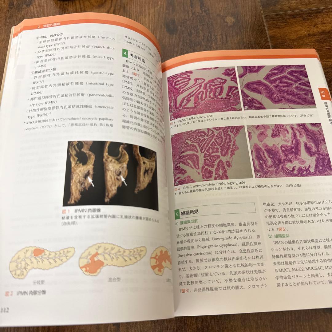 膵臓を診る医師のための膵臓病理テキスト