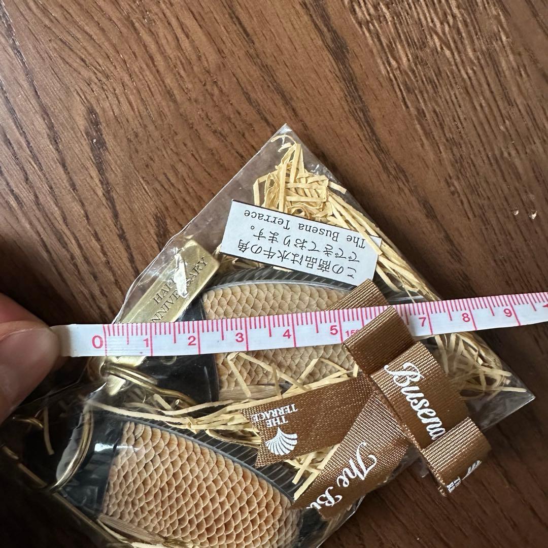 ブセナテラス 水牛の角 魚 ルームキー キーホルダー　2つセット　アニバーサリー