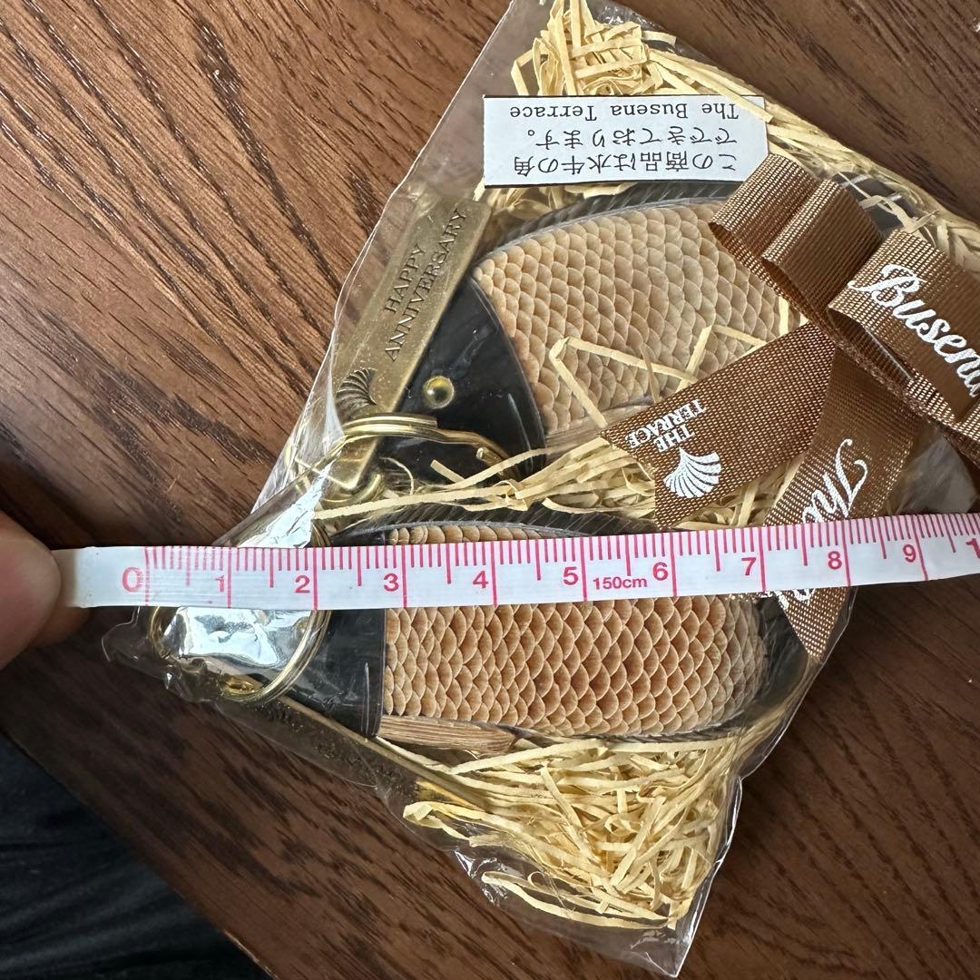 ブセナテラス 水牛の角 魚 ルームキー キーホルダー　2つセット　アニバーサリー