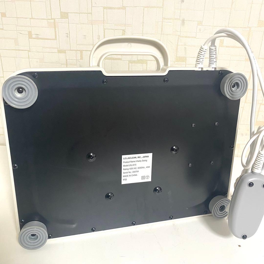 Daiwa Vitality Swing 金魚運動マシン