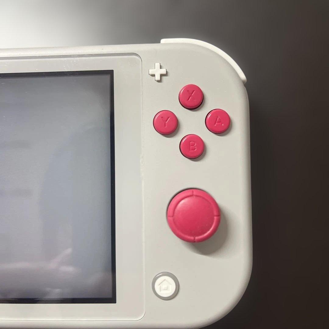 ニンテンドースイッチ ライト 本体 ザシアン・ザマゼンタ 剣盾　他付属品