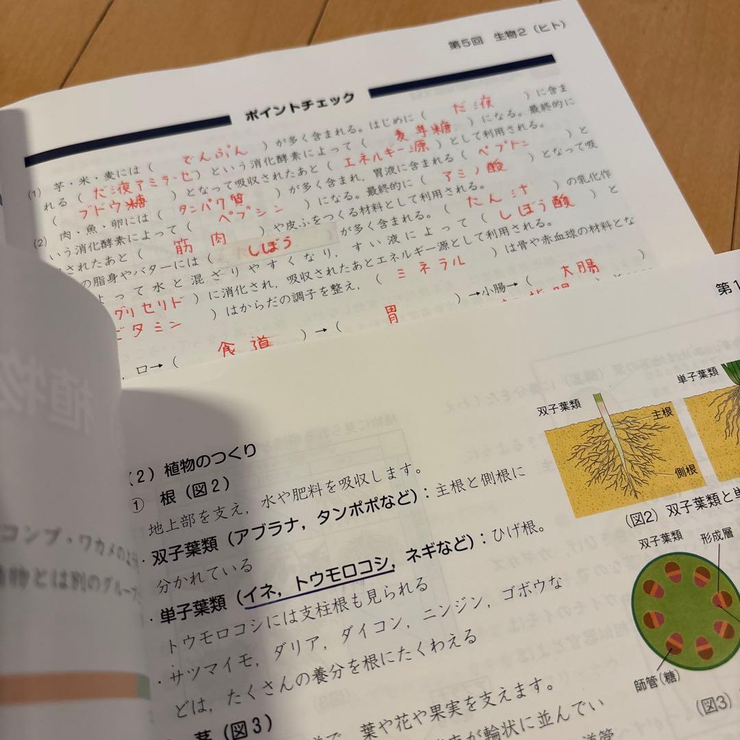 四谷大塚　6年生用テキスト　まとめ売り
