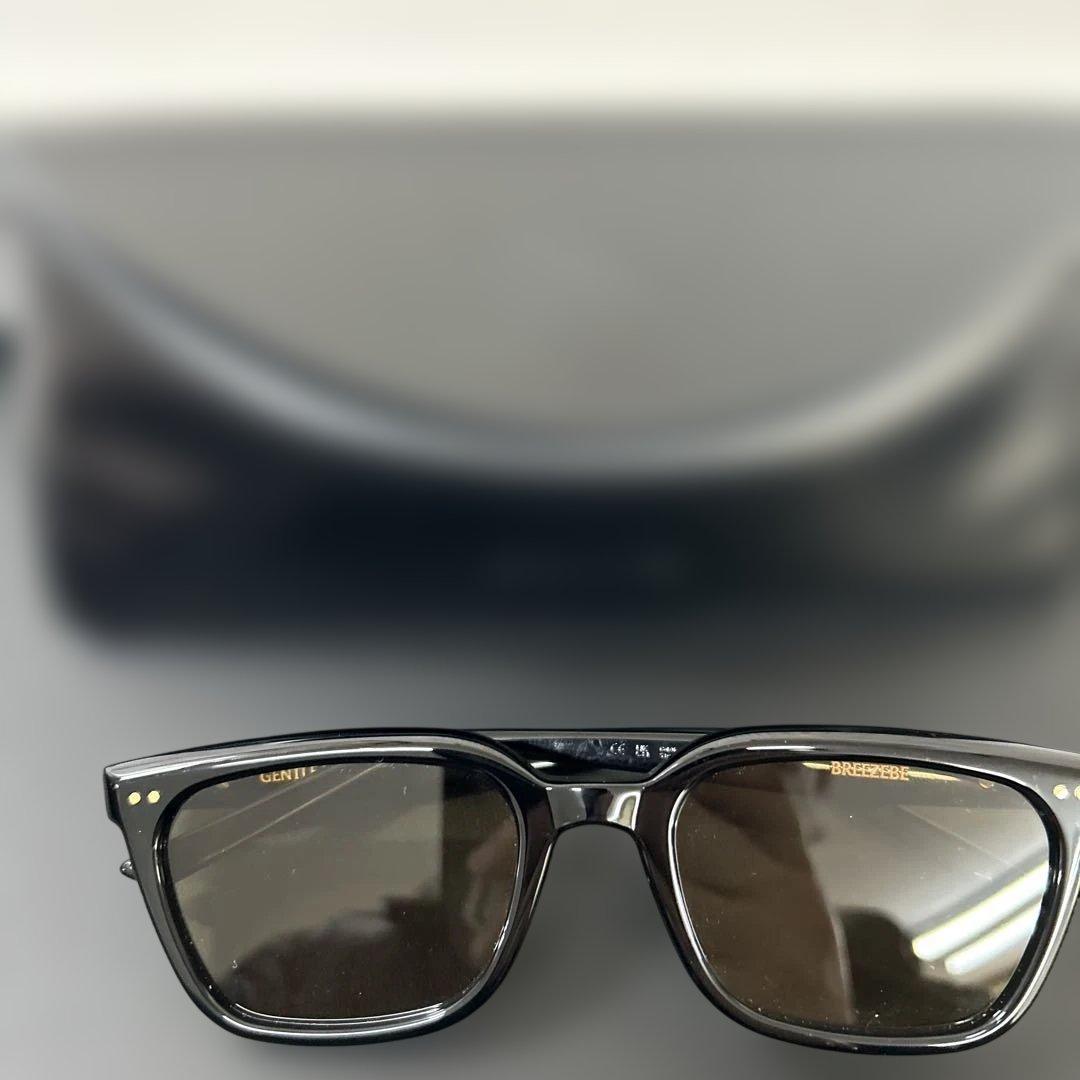 GENTLE MONSTER サングラス ケース付き