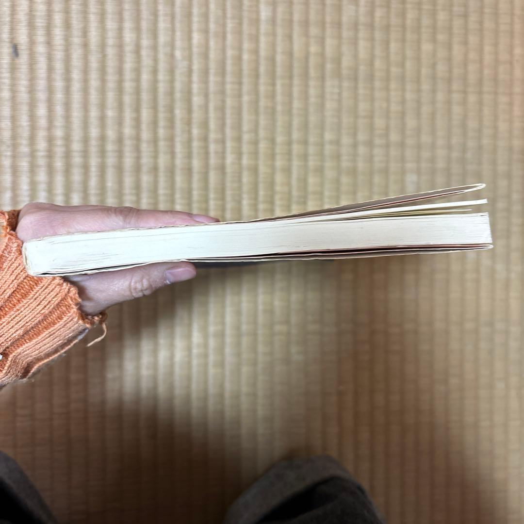 芦川の英語基礎貫徹ゼミ 多義動詞　初版⭐️