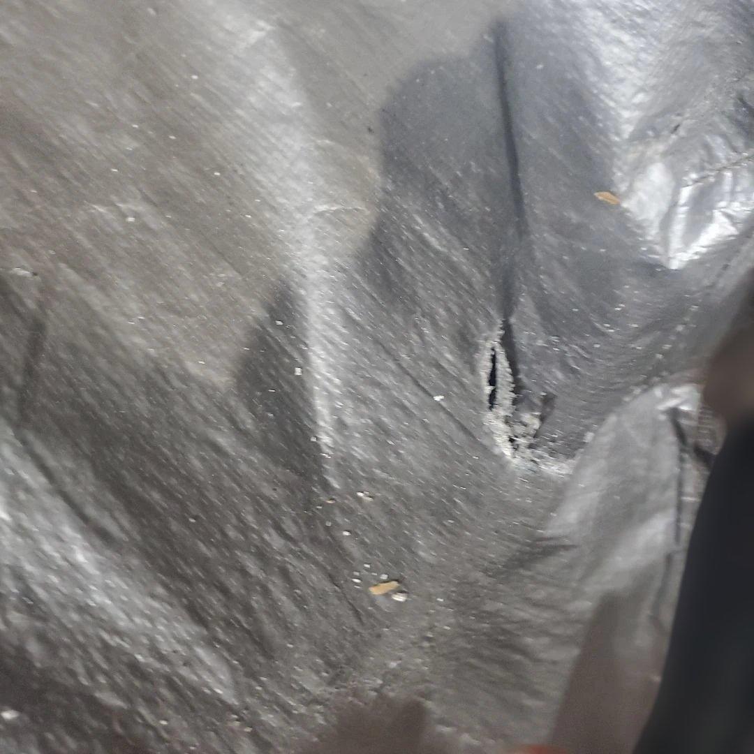 BURTON スノーボードケース 156cm! a29