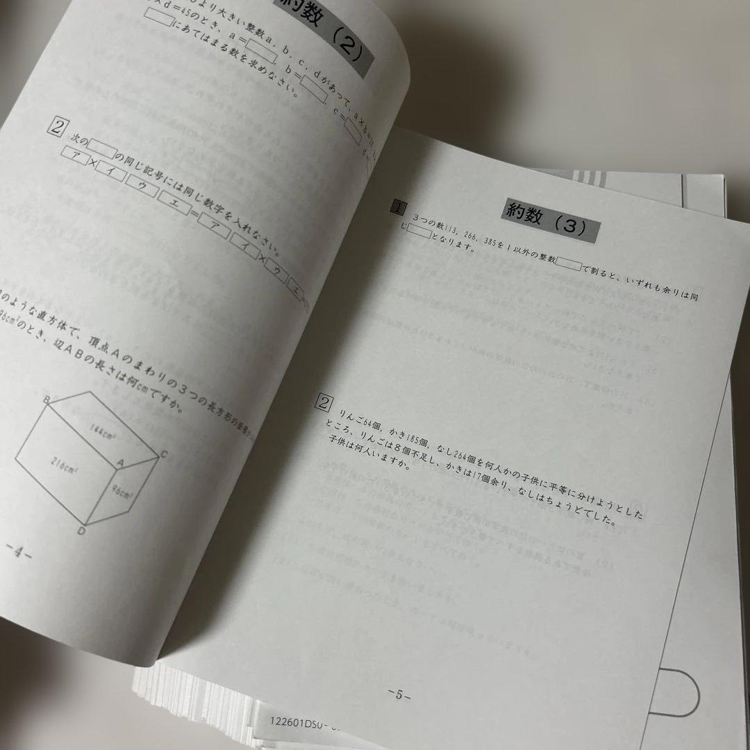 ㉒　SAPIX サピックス　sapix 6年　算数　ディリーサピックス　一年分❣️