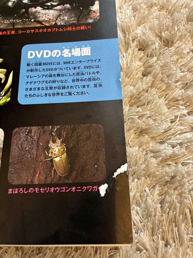 move 講談社の動く図鑑セット12冊世界の国ぐに図鑑つき