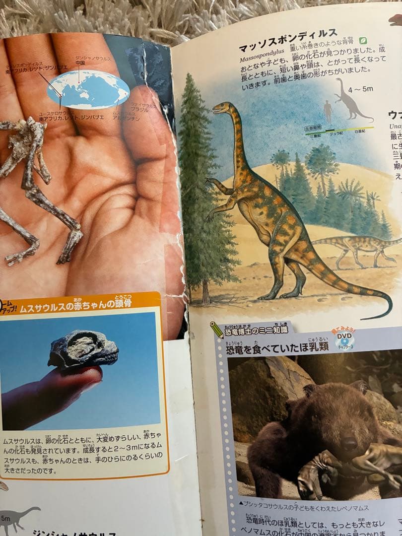 move 講談社の動く図鑑セット12冊世界の国ぐに図鑑つき