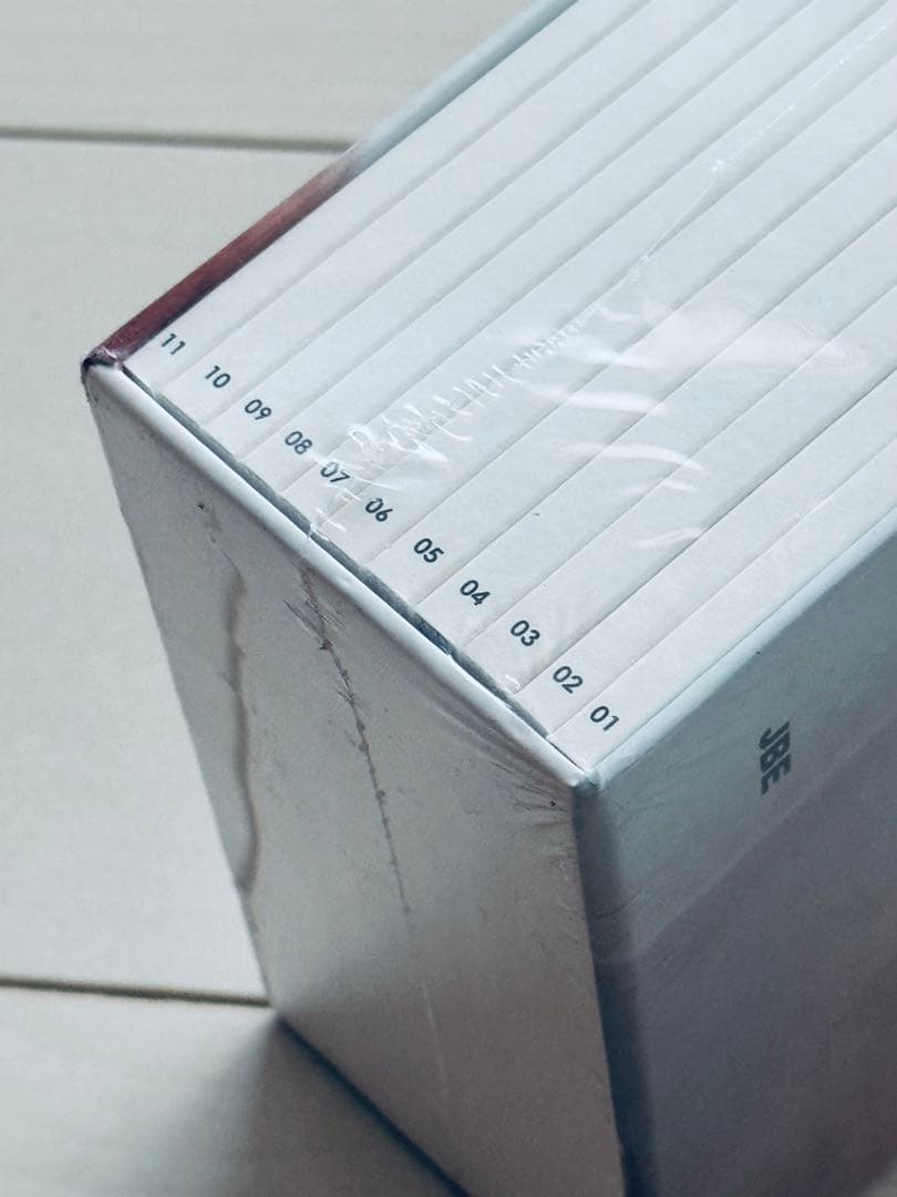 【限定品】Lina Scheynius Photo Books 11冊セット