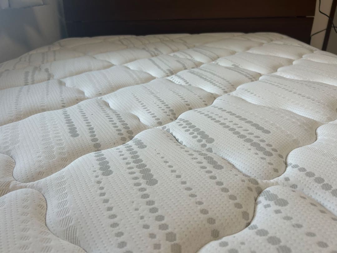 【使用期間9ヶ月】フランスベッド　セミダブル　TW-100