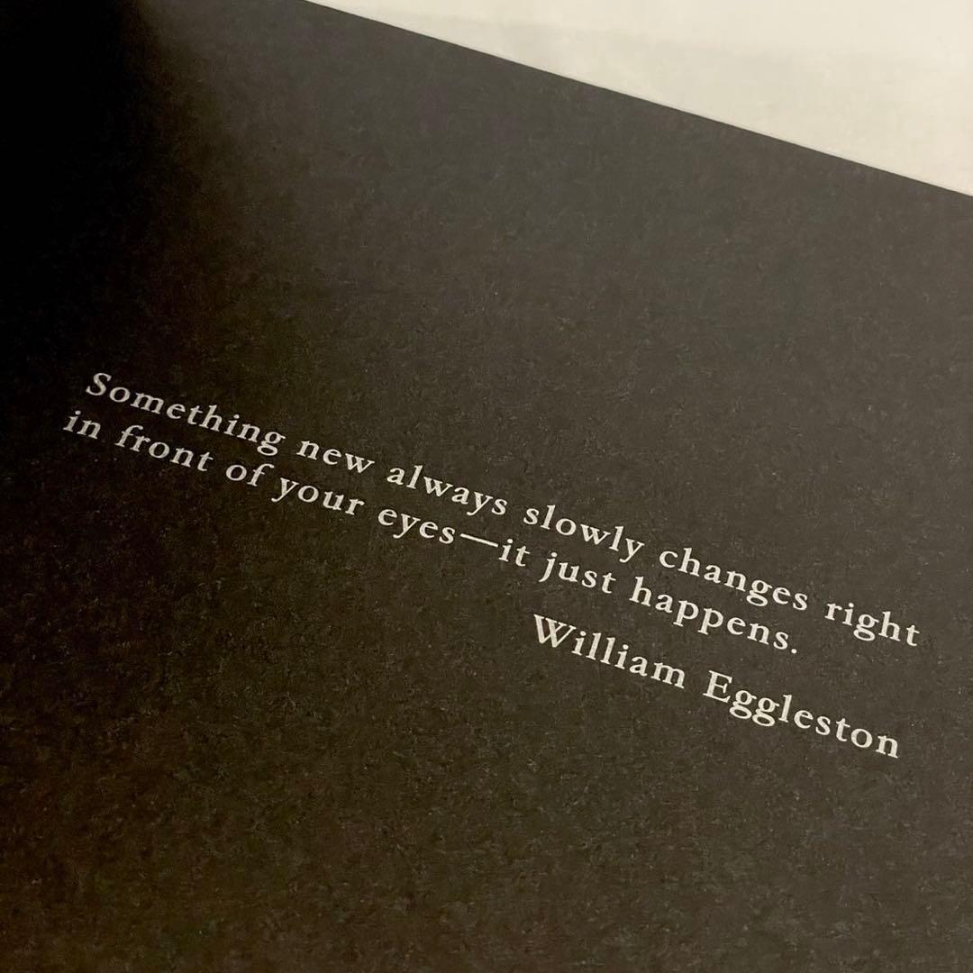 ウィリアム・エグルストン William Eggleston Polaroid