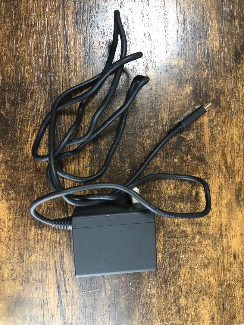 Nintendo Switch Lite 本体 充電器付き　箱、説明書なし