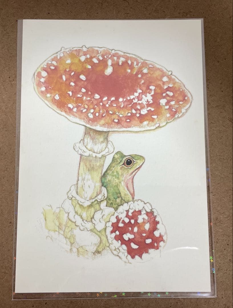 ヒグチユウコ　ボリス雑貨店　かえるのほん(イラストサイン入り) ポストカード