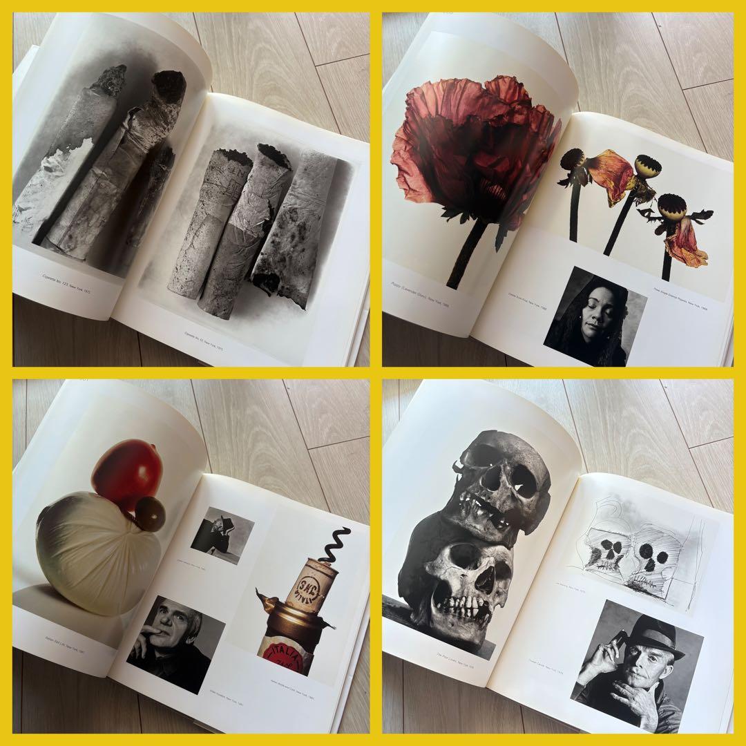 希少❗️【Passage】Irving Penn/アーヴィング・ペン/アート写真集