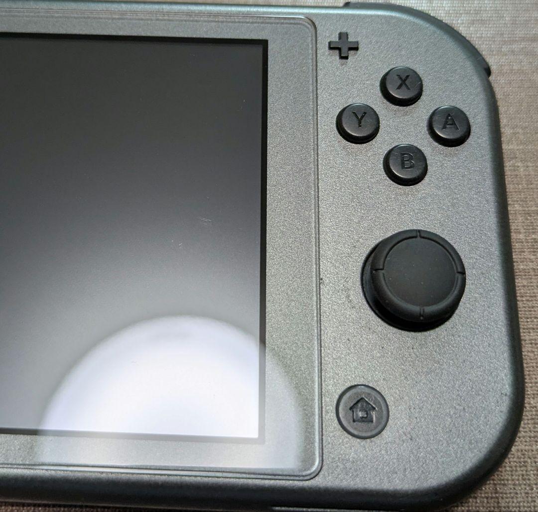 スイッチライト Nintendo Switch Lite ディアルガ パルキア