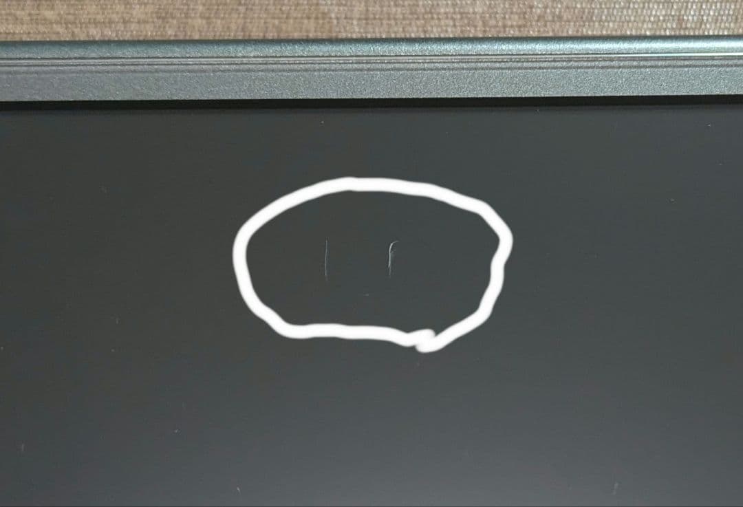 スイッチライト Nintendo Switch Lite ディアルガ パルキア