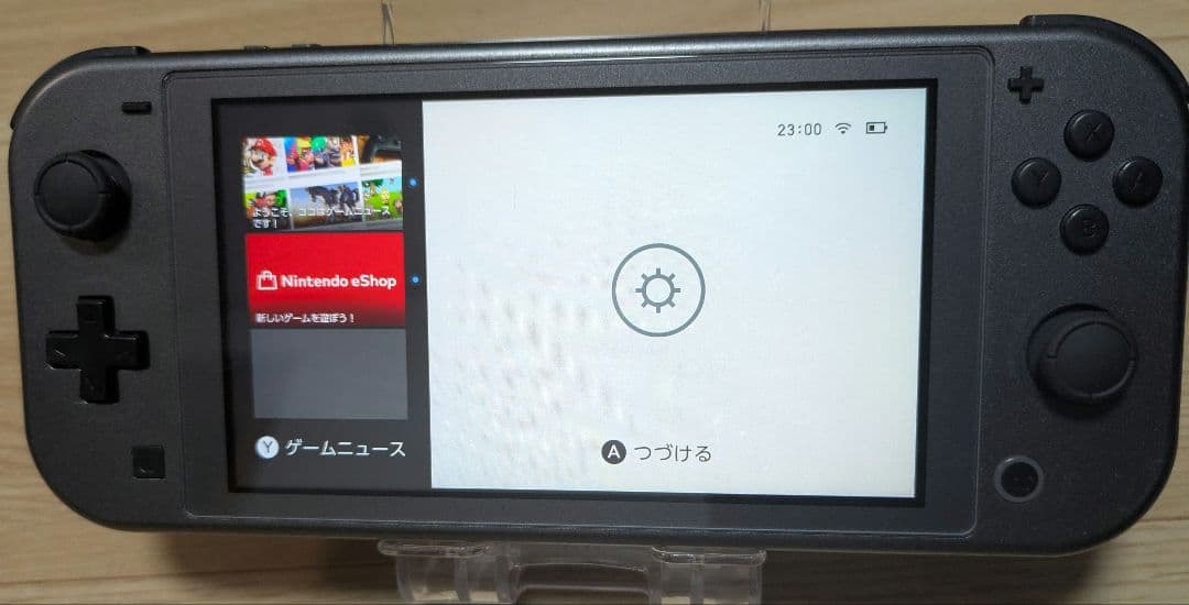 スイッチライト Nintendo Switch Lite ディアルガ パルキア