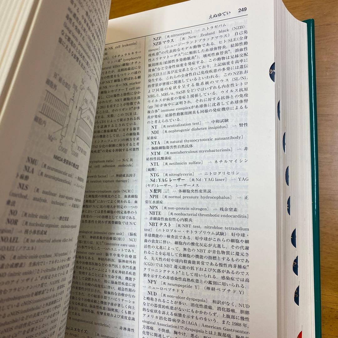 南山堂医学大辞典