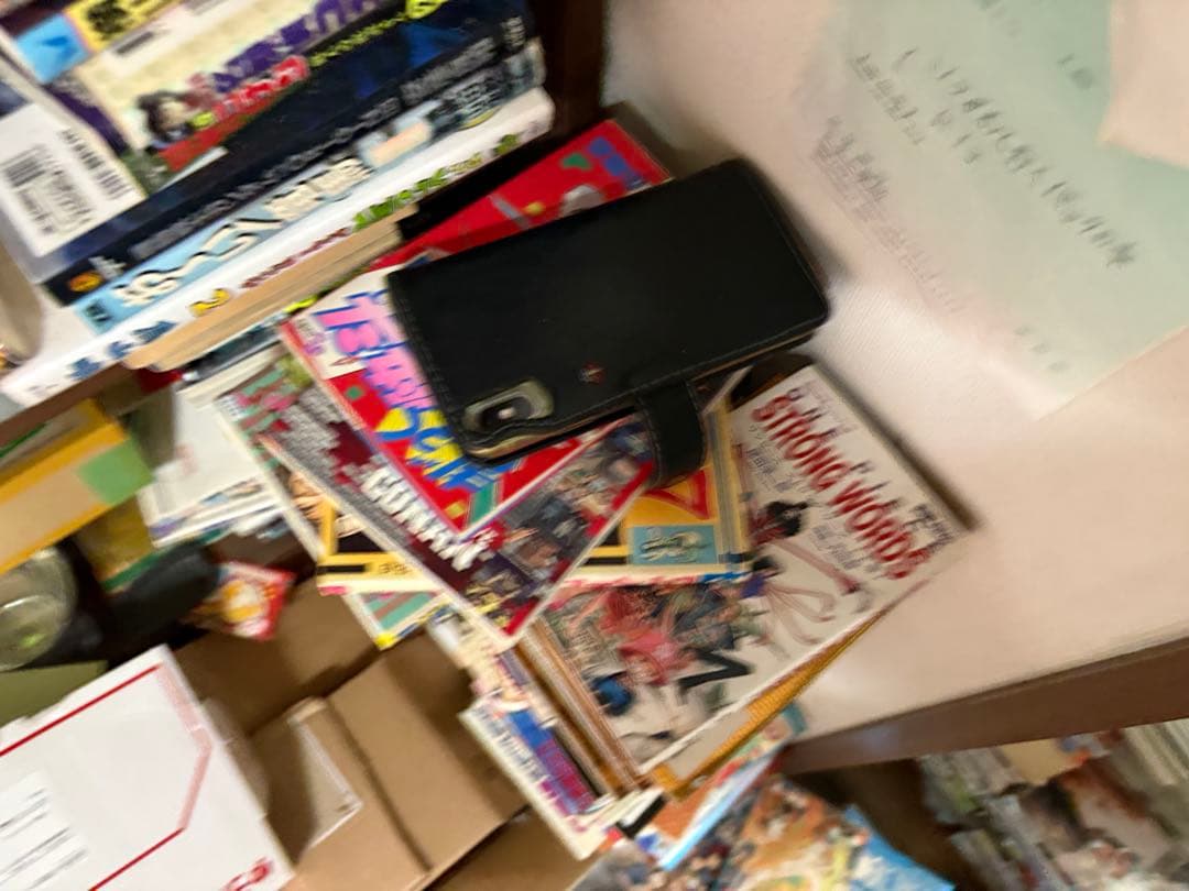 97冊　彼岸島　最後の47日後　４８日後… 兄貴編　零手引書30巻限定DVD