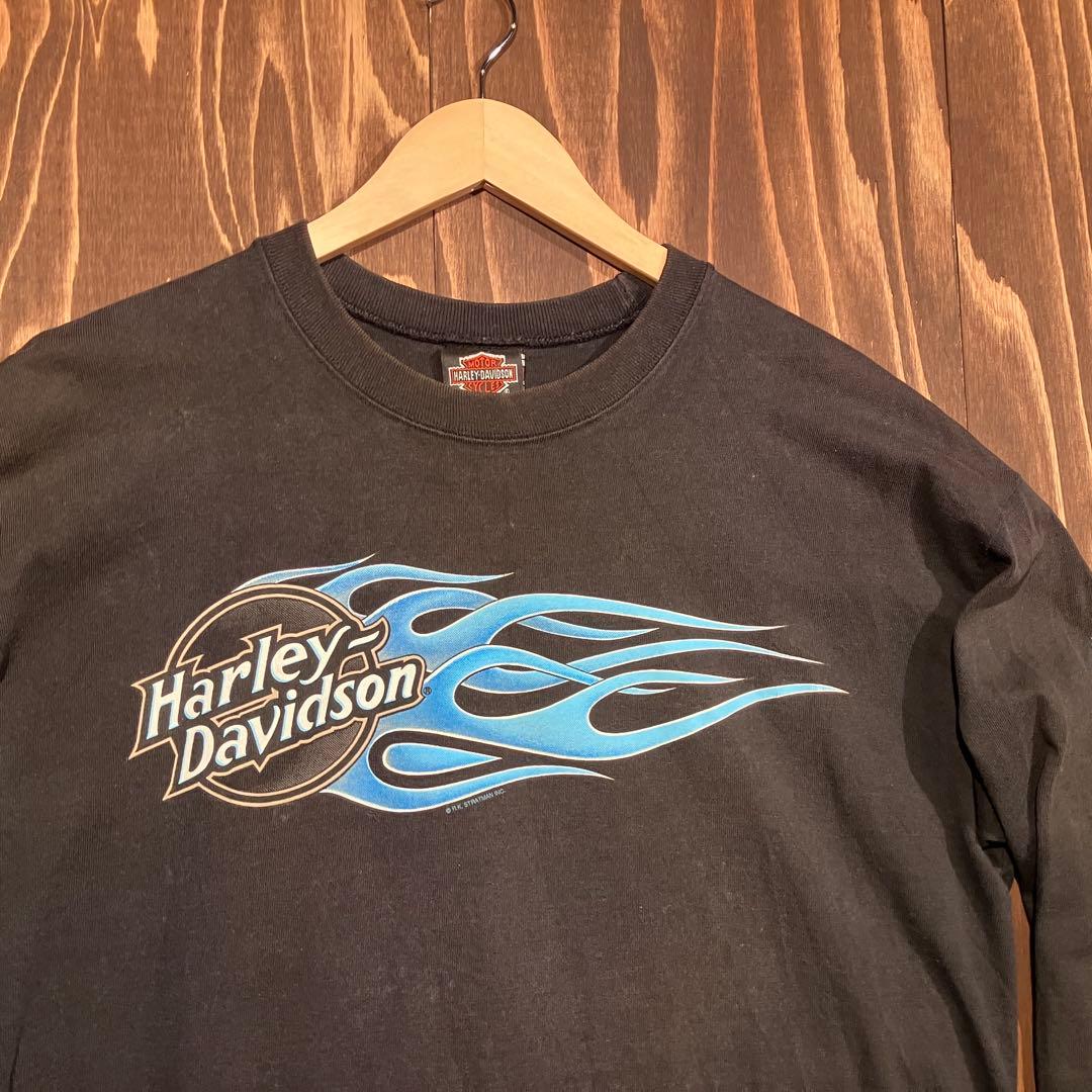 USA製 ハーレーダビッドソン ブルーフレイム　ロンt 長袖　ブラック　Ｌ