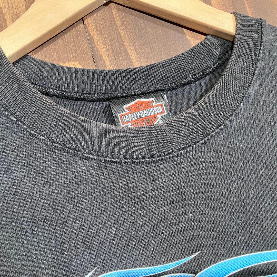 USA製 ハーレーダビッドソン ブルーフレイム　ロンt 長袖　ブラック　Ｌ
