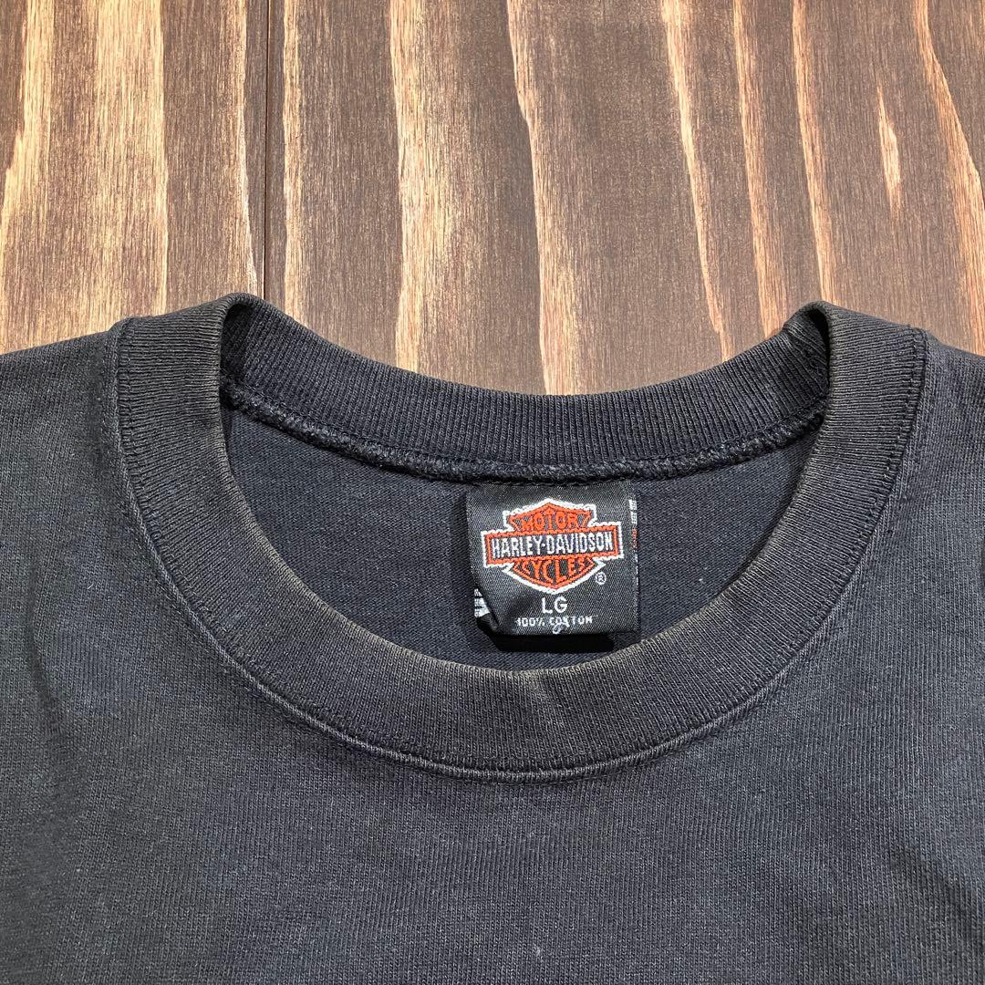 USA製 ハーレーダビッドソン ブルーフレイム　ロンt 長袖　ブラック　Ｌ