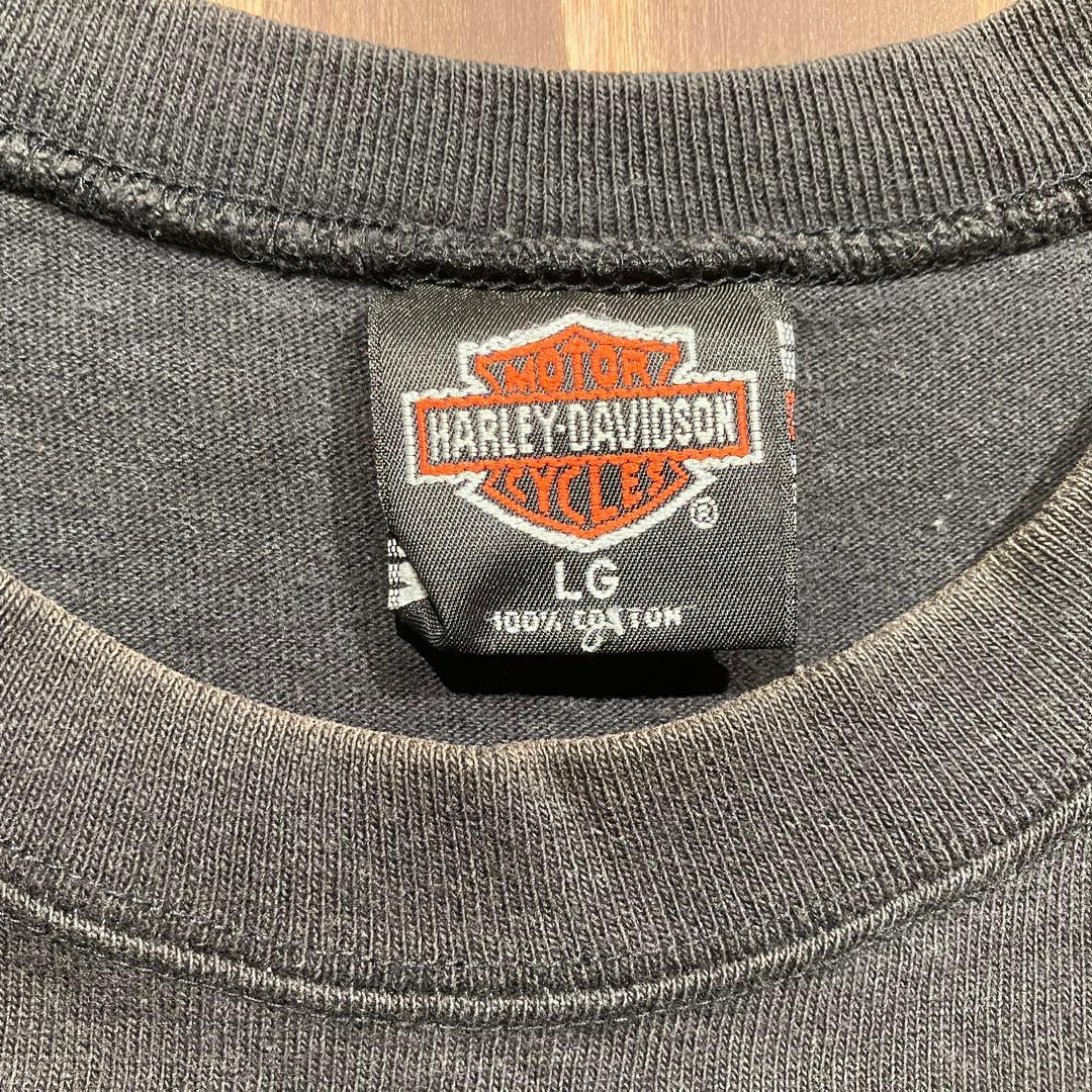 USA製 ハーレーダビッドソン ブルーフレイム　ロンt 長袖　ブラック　Ｌ