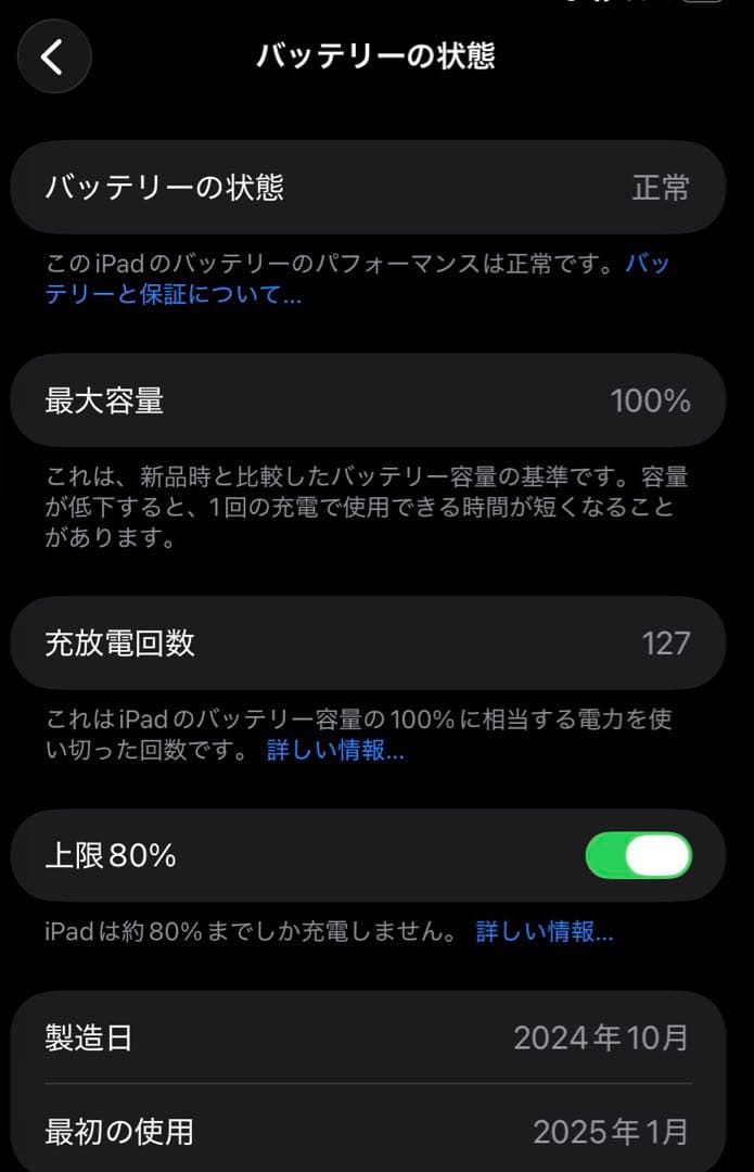 iPadminiA17pro(第７世代)Wi-Fi 256Gバッテリー100