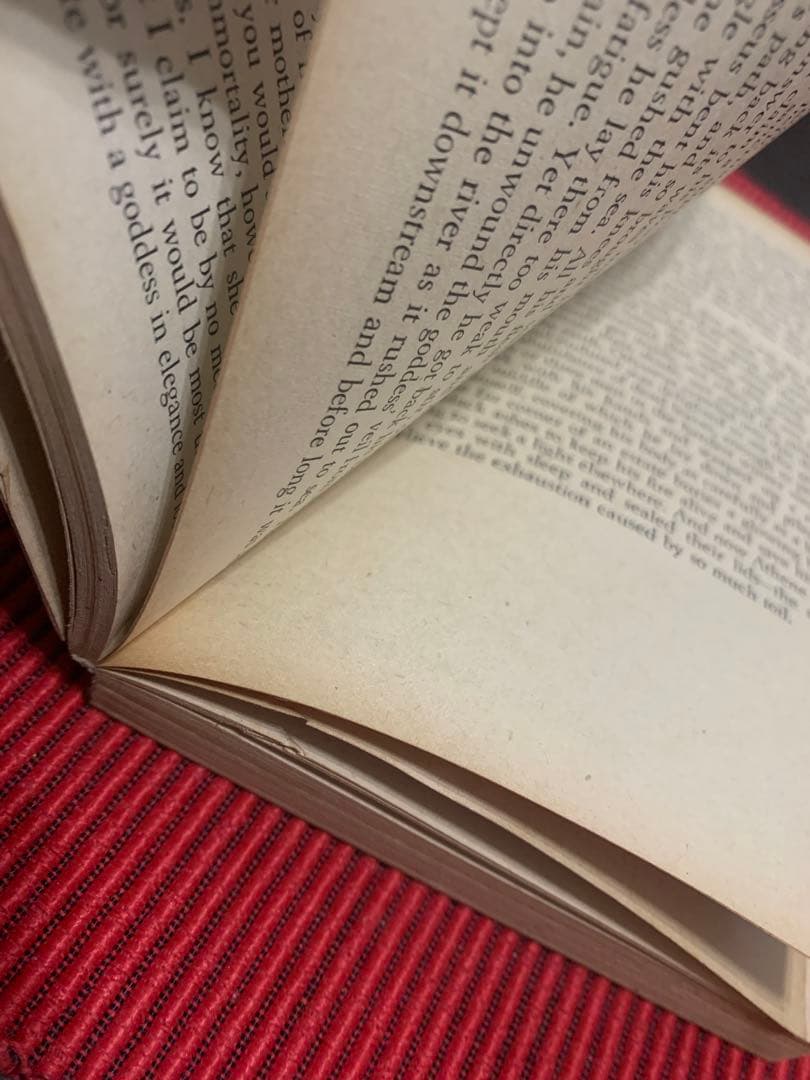 洋書 R THE ODYSSEY