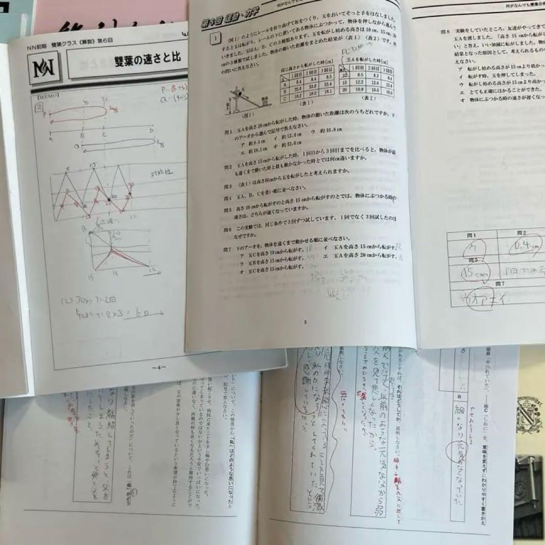 【NN雙葉】早稲アカ　小6 日曜講座　前期　計24冊