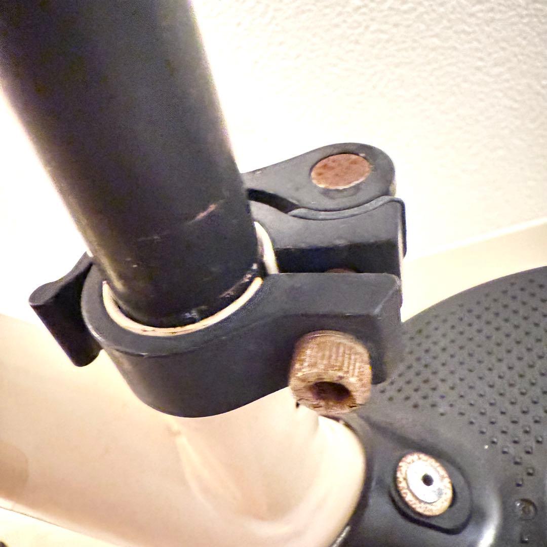 ムラサキスポーツ限定カラー　STRIDER ストライダー 12inch