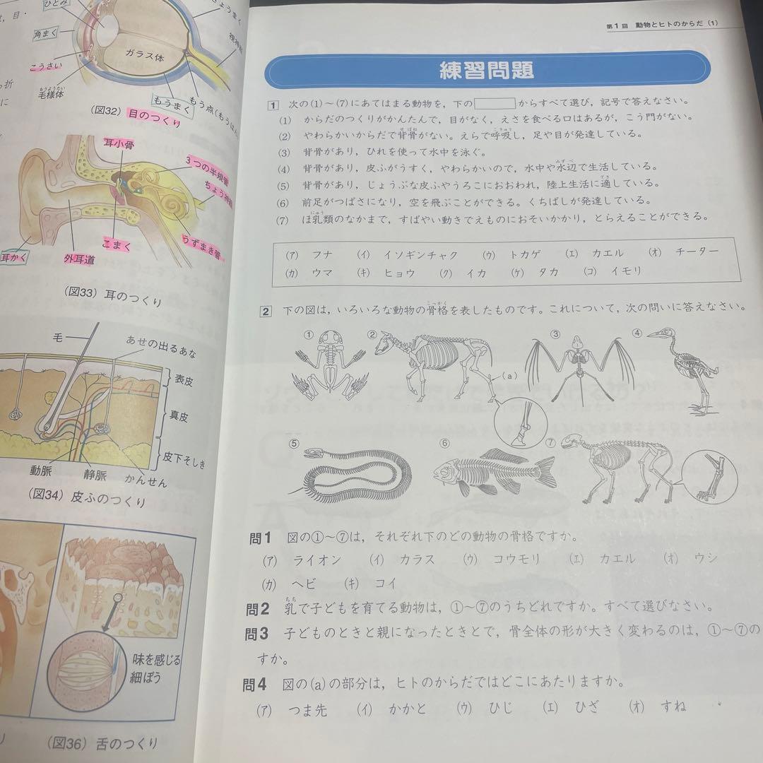 四谷大塚　理科5年下　予習シリーズ