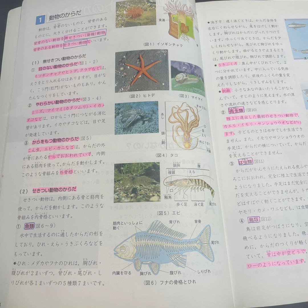 四谷大塚　理科5年下　予習シリーズ