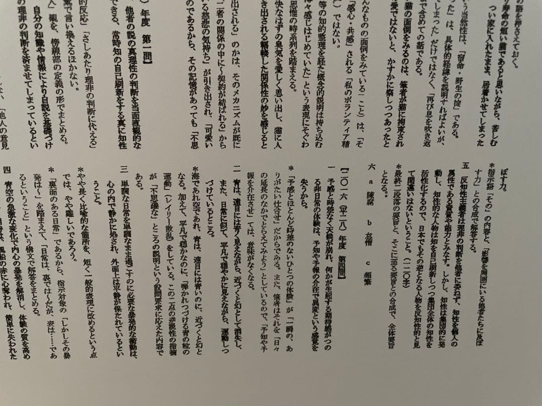 駿台 東大現代文 現代文特講 2024/林修・中野芳樹 解答集 東大特進