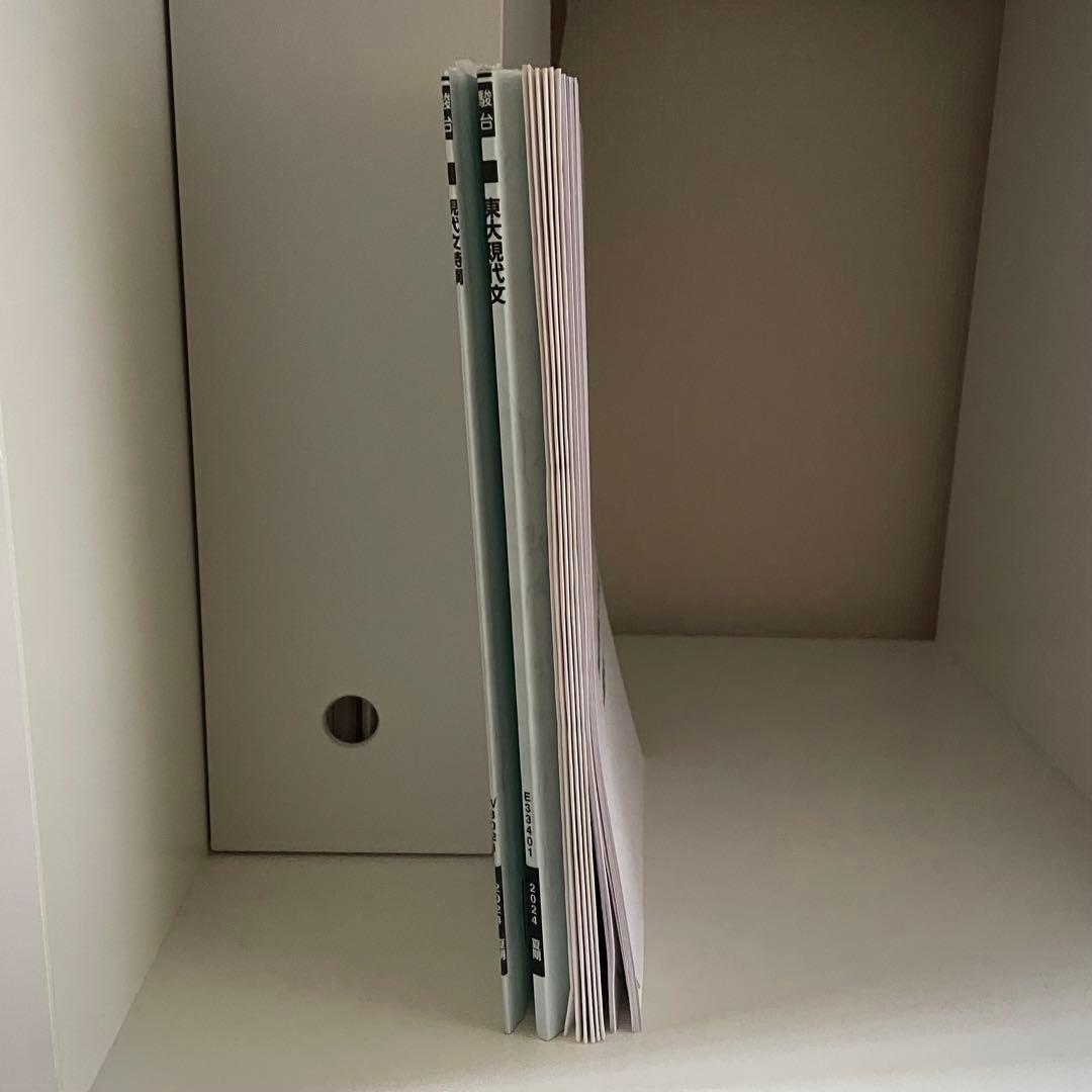 駿台 東大現代文 現代文特講 2024/林修・中野芳樹 解答集 東大特進