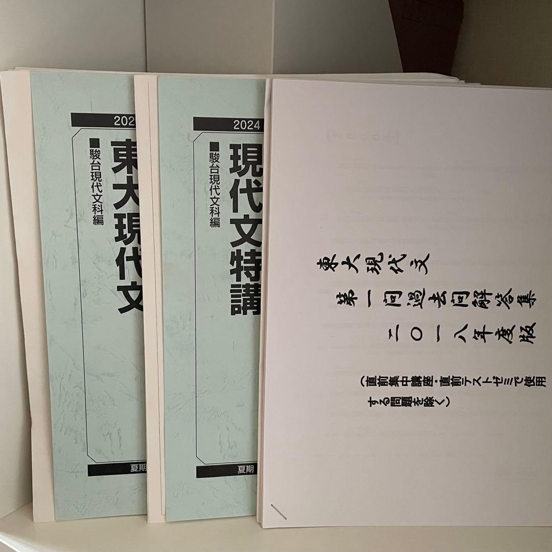 駿台 東大現代文 現代文特講 2024/林修・中野芳樹 解答集 東大特進
