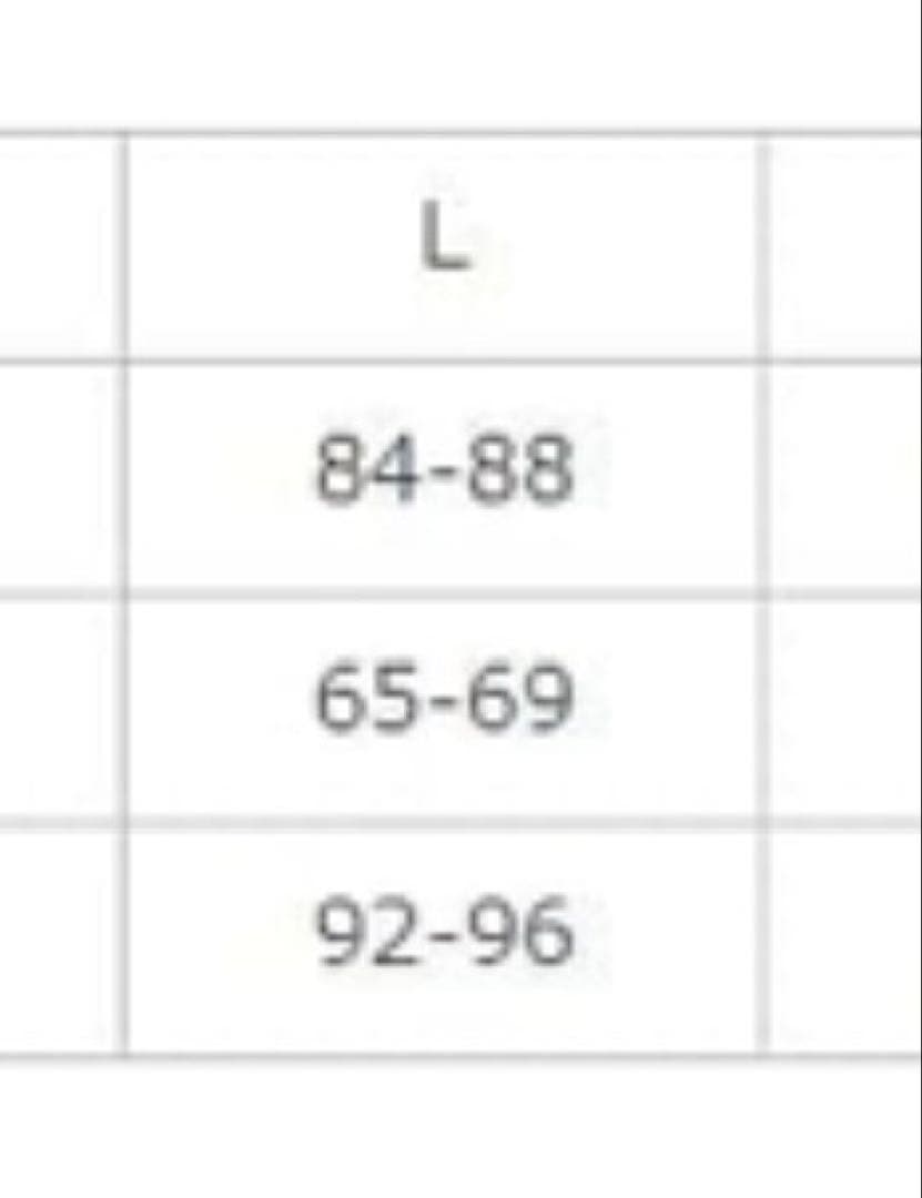 【新品】アリーナ ARENA 競泳水着 レディースARN-3025W 50周年